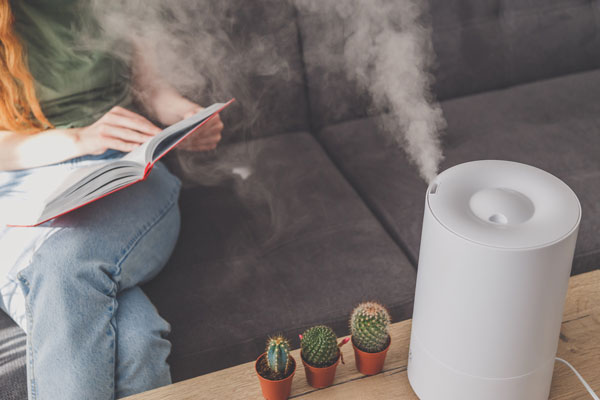 Humidifier Services in Pickerington, OH